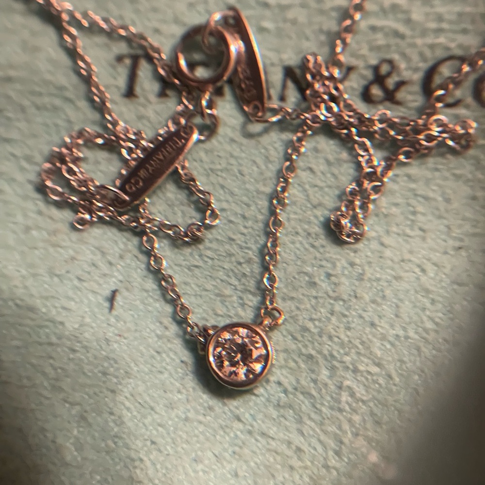 Tiffany & Co. .29! platinum Single Bezel Diamond Necklace